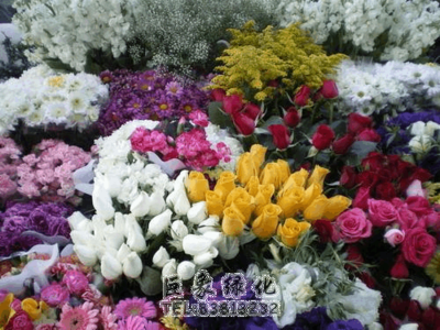 我國花卉市場的現狀及發(fā)展趨勢簡析