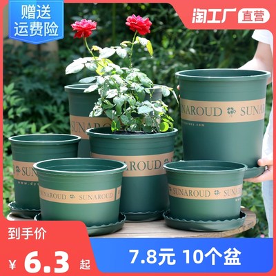 花卉網購熱潮 綠植經濟與生活美學的數字融合